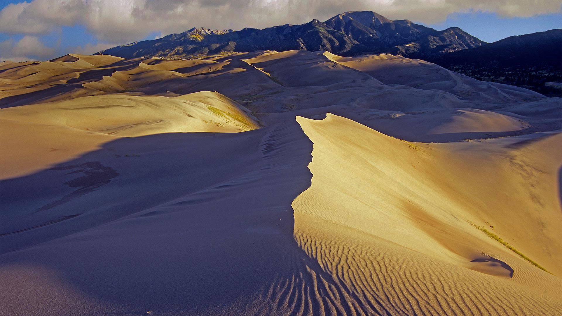 dune